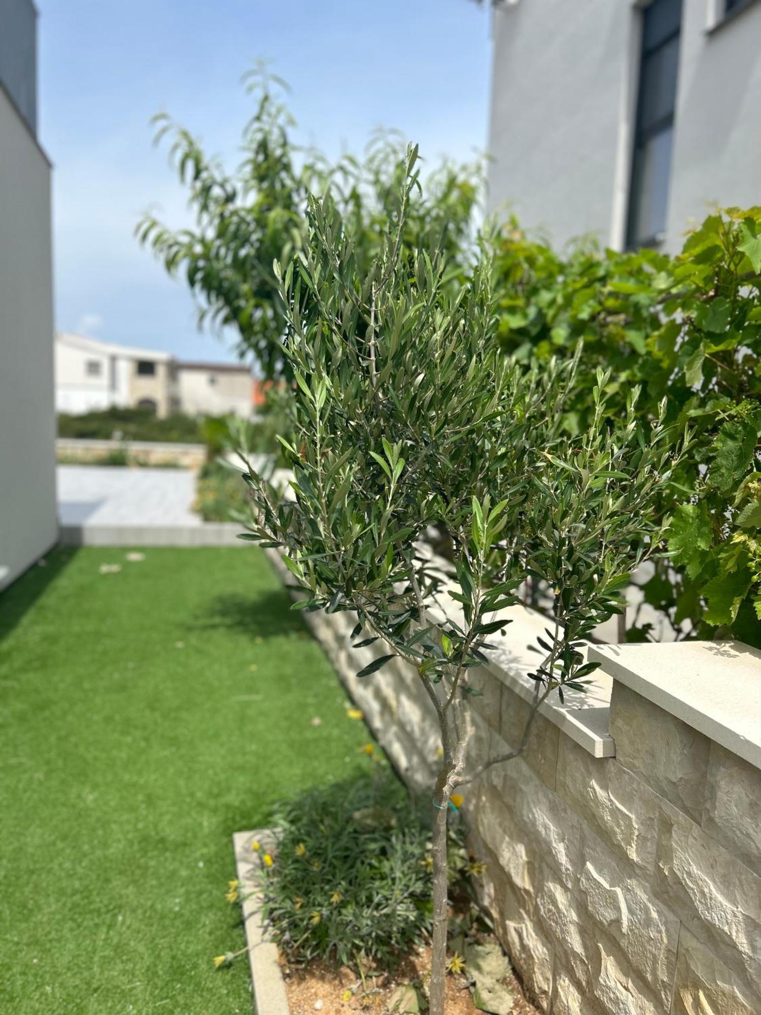 Velebit View Apartamento Vir Exterior foto